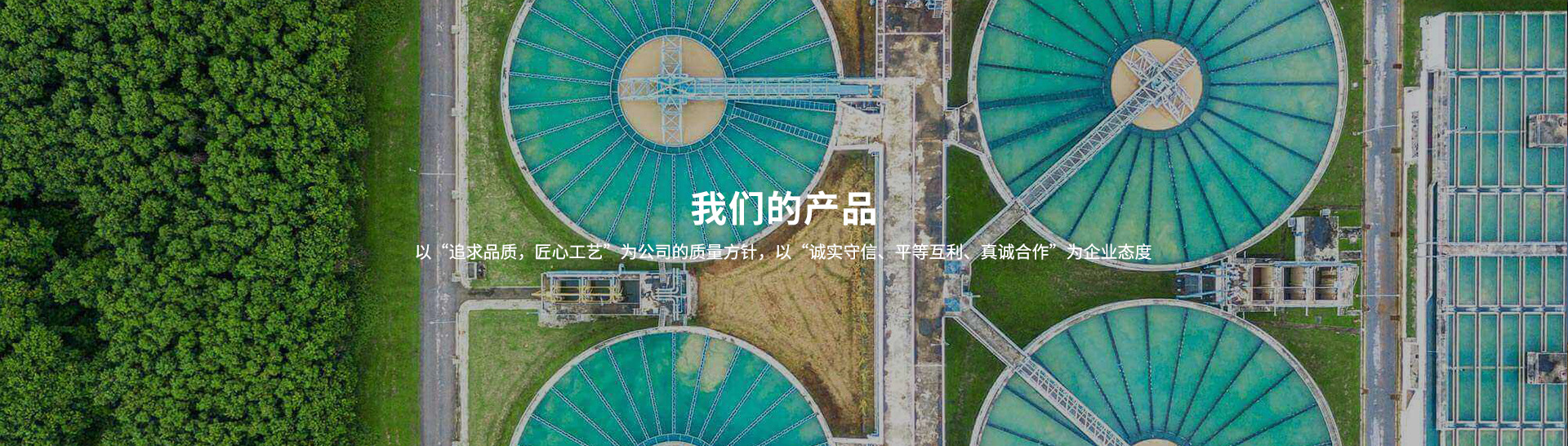 衛(wèi)生級閥門,衛(wèi)生級止回閥,不銹鋼卡箍